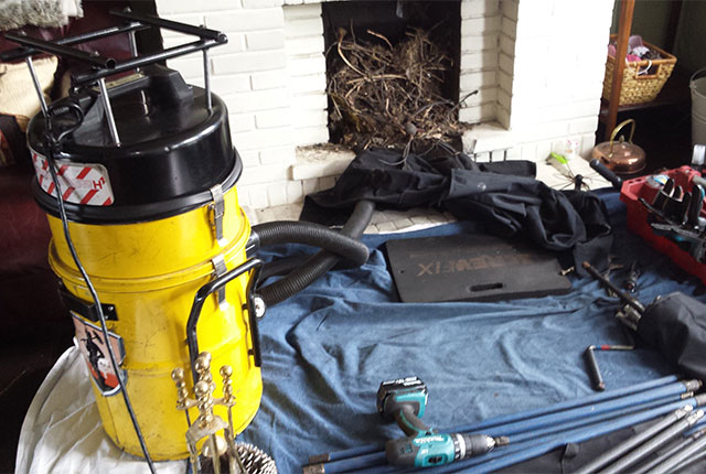 birds nest removed from a chimney