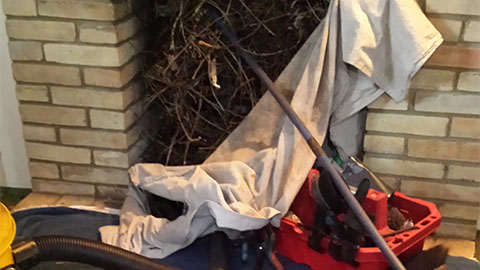 Large birds nest removed from chimney